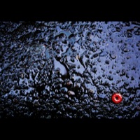 Picture 1 title