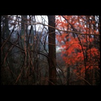 Picture 1 title