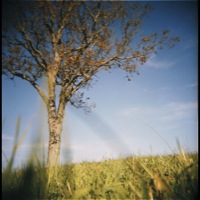 Picture 1 title