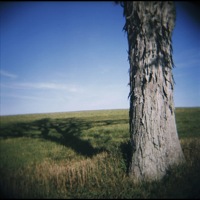 Picture 1 title