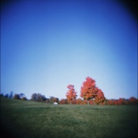 Picture 1 title